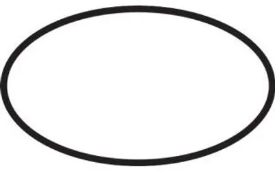 Immagine prodotto di Hansgrohe O-Ring 44x2,5mm