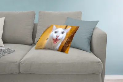 Produktbild von MuchoWow® Zierkissen Sofakissen Wohnzimmer Dekokissen 60x40 cm Katze - Tier - Weiß - Kopfkissen - Polster mit Foto