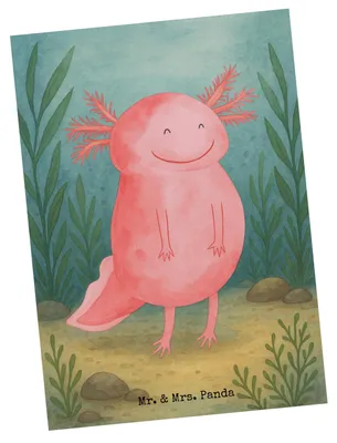Produktbild von Mr. & Mrs. Panda Postkarte Axolotl Glücklich Design - Weiß - Geschenk, Ansichtskarte, Motivation, Ansichtskarten, Grußkarte, kunstkarte, Postkarten, gut Gelaunt, Lurch