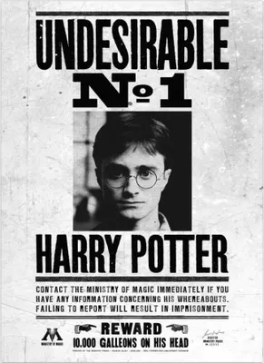 Produktbild von Harry Potter - Gerahmter Leinwanddruck "Undesirable No. 1" PM3556 (50 cm x 40 mm) (Schwarz/Weiß)