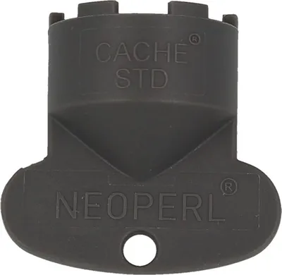 A close-up studio shot of a gray plastic cache key.
