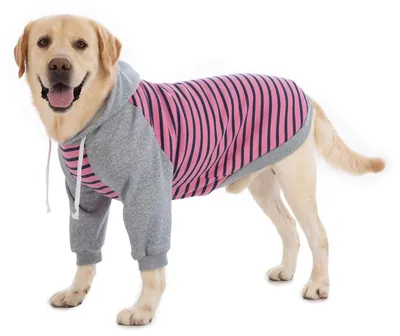 Image de Solidchoice - Sweat à capuche pour grands chiens, chaud et confortable