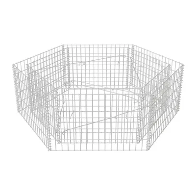 A hexagonal wire gabion planter.