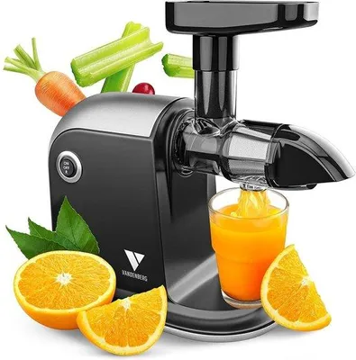 Image de Extracteur de jus à vitesse lente pour fruits et légumes - Centrifugeuse à fruits - Centrifugeuse à légumes - Jus de fruits maison - Noir - Haute qualité