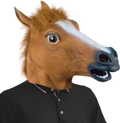 Ganzkopfmaske, Hauptbild