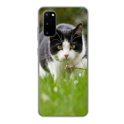 Produktbild von MuchoWow® Handyhülle Schutzhülle Hülle für Samsung Galaxy S20 Katze - Gras - Schwarz - Weiß - Mädchen - Kinder - Jungen - Kinder Silikon Softcase Handy Hülle - Bild