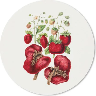Produktbild von MuchoWow® Mauspad Mousepad Erdbeeren - Obst - Lebensmittel 30x30 cm - Mousepads - Maus Mat - Pad - Mausunterlage - Tischunterlage - Schreibtischmatten
