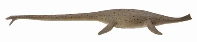 Obrázok produktu pre COLLECTA Thalassomedon - 1:40