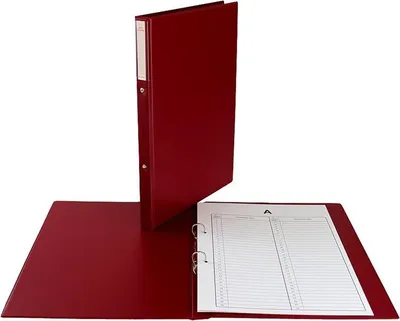 Image de Chemise à dossier A4 Marron Biurfol