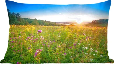 Produktbild von MuchoWow® Zierkissen Sofakissen Wohnzimmer Dekokissen 60x40 cm Sonne - Gras - Blumen - Kopfkissen - Polster mit Foto