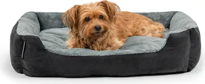 A small brown dog lies on a plush dog bed.