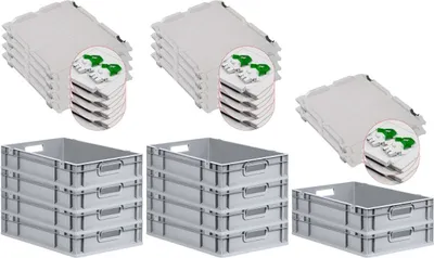 Produktbild von SuperSparSet 10x Eurobox NextGen Economy mit Scharnierdeckel und grünen Schiebeschnappverschlüssen | Griffe offen | HxBxT 12x40x60cm | 23 Liter | Eurobehälter, Transportbox, Transportbehälter, Stapelbehälter