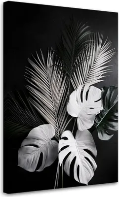 Produktbild von Leinwandbild Monstera-Blätter Palmen Schwarz Weiß 70x100 Feeby Schwarz-Weiß bild für die wand bereit zum aufhängen