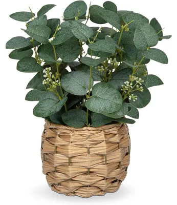 Produktbild von Kunstpflanze Eukalyptus im Topf Höhe 28 cm Grün