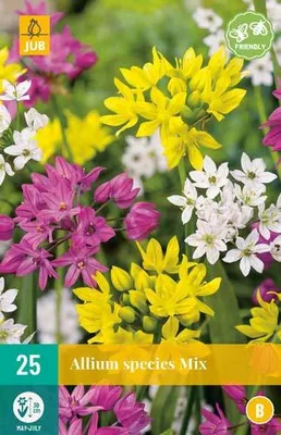 Artikelbild 1 von 'Zierlauch species Mix (25 Stück)' aus der Kategorie Zierlauchzwiebeln / Allium