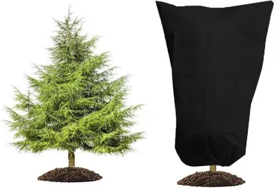 Immagine prodotto di HERILIOS Protezione invernale Piante Albero Palme Balcone 80X100cm Nero