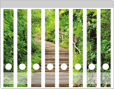 Produktbild von Wallario Ordnerrücken Sticker, selbstklebend für schmale Ordner, 8 Stück, Motiv Steintreppe im Wald