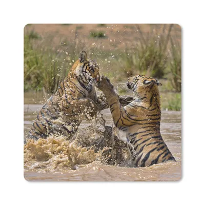 Produktbild von MuchoWow® Mauspad Mousepad Junge Tiger spielen im Wasser 20x20 cm - Mousepads - Maus Mat - Pad - Mausunterlage - Desk Mat - Bureauartikeln