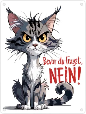 Produktbild von Grimmige Katze Metallschild in 15x20 cm mit Spruch Bevor du fragst: NEIN!
