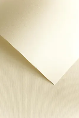Immagine prodotto di Tela di carta decorativa /50 pezzi/ Galeria Papieru 120G 206102 CREMA