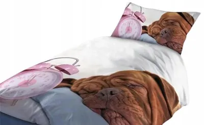 Produktbild von Carbotex Hund Motiv Bettwäsche 160x200 cm