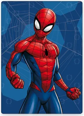 Produktbild von Niebieski kocyk dziecięcy Spiderman