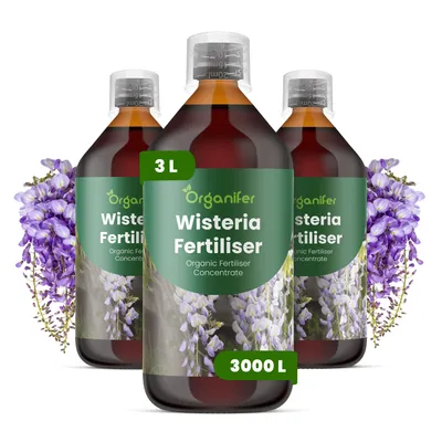Obrázok produktu pre Tekuté hnojivo pre glicínie, 3x1 liter – vzorec NPK 2-1-8 – Vhodné pre glicínie – Podporuje rovnomerný rast, silný koreňový systém a bohaté kvitnutie – Organický produkt