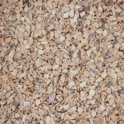 Produktbild von Muschelgranulat, 2 - 3 mm, 1 kg Natur