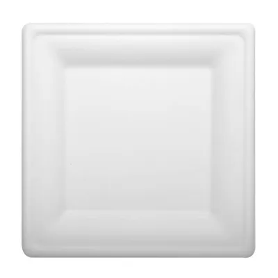 Image de 50 assiettes en canne à sucre PAPSTAR 20,0 x 20,0 cm