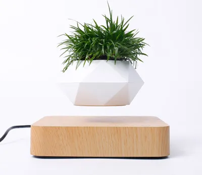 Image de Pot de fleurs Pot de plantes flottant magnétique pour plantes avec base en bois de chêne naturel