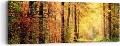Produktbild von Bild auf Leinwand - Leinwandbild - Wald Baum Natur - 90x30cm - Wand Bild - Wanddeko - Wandbilder - Leinwanddruck - Bilder - Kunstdruck - Wanddekoration - Leinwand bilder - Wandkunst - AB90x30-3718