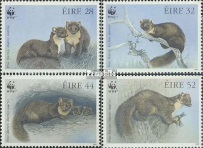 Produktbild von Briefmarken Irland 1992 Mi 798-801 (kompl.Ausg.) postfrisch Baummarder