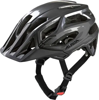 Produktbild von ALPINA GARBANZO 22 dark-silver gloss 52