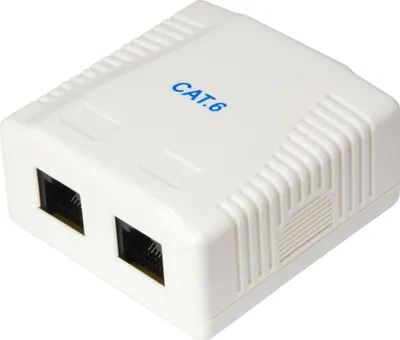 Image de Equip Aufputzdose Cat6  2-Port 2x RJ45 UTP       RAL 9010 ws Polybeutel