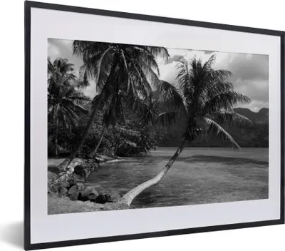 Produktbild von MuchoWow® MuchoWow® Gerahmtes Poster Palmen am Strand von Mo'orea in Schwarz und Weiß 40x30 cm - Poster mit zchwarzem Bilderrahmen - Bilderrahmen - Poster im Rahmen