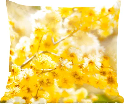 Produktbild von MuchoWow® Zierkissen Sofakissen Wohnzimmer Dekokissen 60x60 cm Nahaufnahme von Mimosenblüten - Sitzfläche - Foto Polster