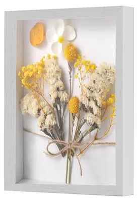 Produktbild von Objektrahmen zum Befüllen - Tiefer Bilderrahmen für Fotos und Dekoration - Wandmontage - Weiß - 20x25x3 cm