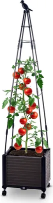 Produktbild von Blumenkasten Set mit Rankhilfe gespitzt 41x30xH160 cm Pflanzkasten auf Rädern