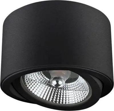 Image de Spot de plafond noir D-139mm AR111 GU10 IP20 rond orientable