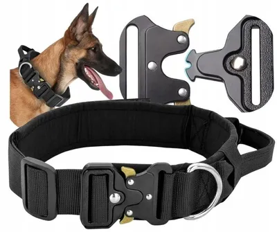 Produktbild von Hundehalsband Taktisch Verstellbar XL 54-62 cm Robustes Militärhalsband Hund