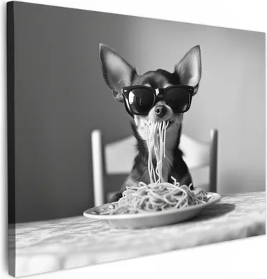 Produktbild von Leinwand Bilder 80x60 cm - Tiere, Komisch - Chihuahua, Wandbilder, Wanddeko Wohnzimmer, Bild