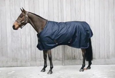 Produktbild von Kentucky Horsewear Outdoordecke 0g All Weather Regendecke Weidedecke Marine 130