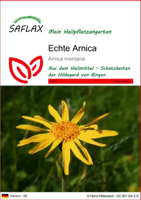 Produktbild von SAFLAX - Heilpflanzen - Echte Arnica - 40 Samen - Arnica montana