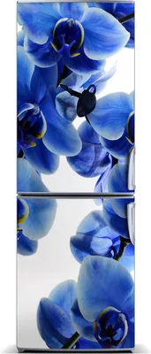 Produktbild von Tulup Kühlschrankdekoration - Magnetmatte - 70 cm x 190 cm - Magnet auf dem Kühlschrank - Orchidee
