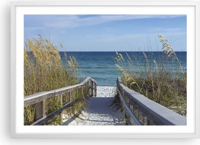 Produktbild von Gerahmtes Poster - Weißer Rahmen - Strand Düne Strecke - 70x50 cm - Wand Bild - Wanddeko - Wandbilder - Kunstposter - Wandposter - Bilderrahmen - Bilder - Kunstdruck - Wandbild - P2WAA70x50-4180