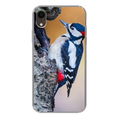Produktbild von MuchoWow® Handyhülle Schutzhülle Hülle für iPhone XR Nahaufnahme eines Buntspechts auf einem Baumstamm Silikon Softcase Handy Hülle - Schutzdeckel