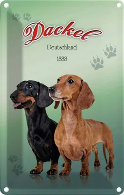 Produktbild von vianmo Blechschild 18x12 cm Hund Dackel Deutschland 1888 Tier Haustier