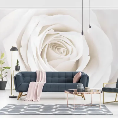 Produktbild von Fototapete Blumen - Vliestapete - Bildtapete UV-beständig Rose beige Landhaus Wandtapete geruchsfrei