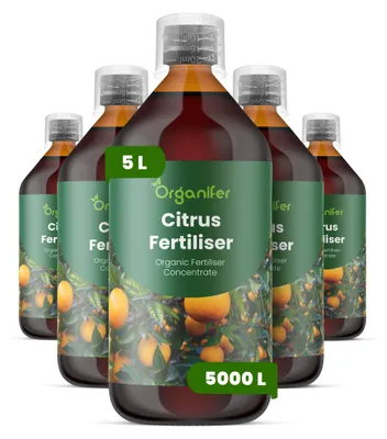 Obrázok produktu pre Citrus, tekuté hnojivo, 5 x 1 L – NPK 2-1-8 – Pre citrusové rastliny – Pre zdravé listy, bohaté kvitnutie a tvorbu plodov – Podporuje rast koreňov – Organický produkt
