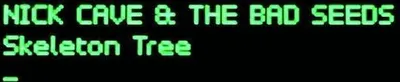 Productafbeelding van Cave, Nick & The Bad Seeds - Skeleton Tree (Jewelcase)